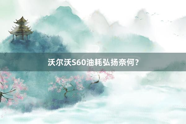 沃尔沃S60油耗弘扬奈何？