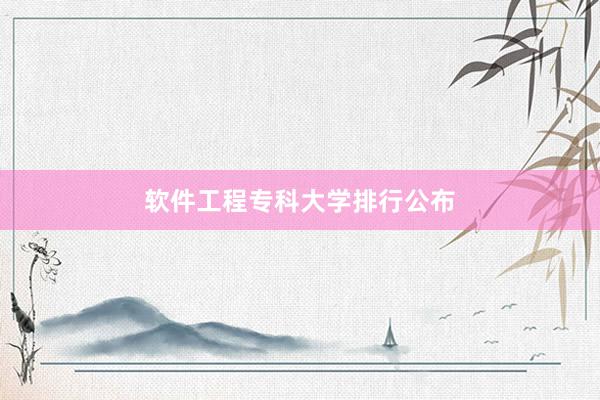软件工程专科大学排行公布