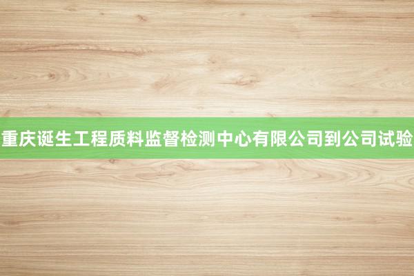 重庆诞生工程质料监督检测中心有限公司到公司试验